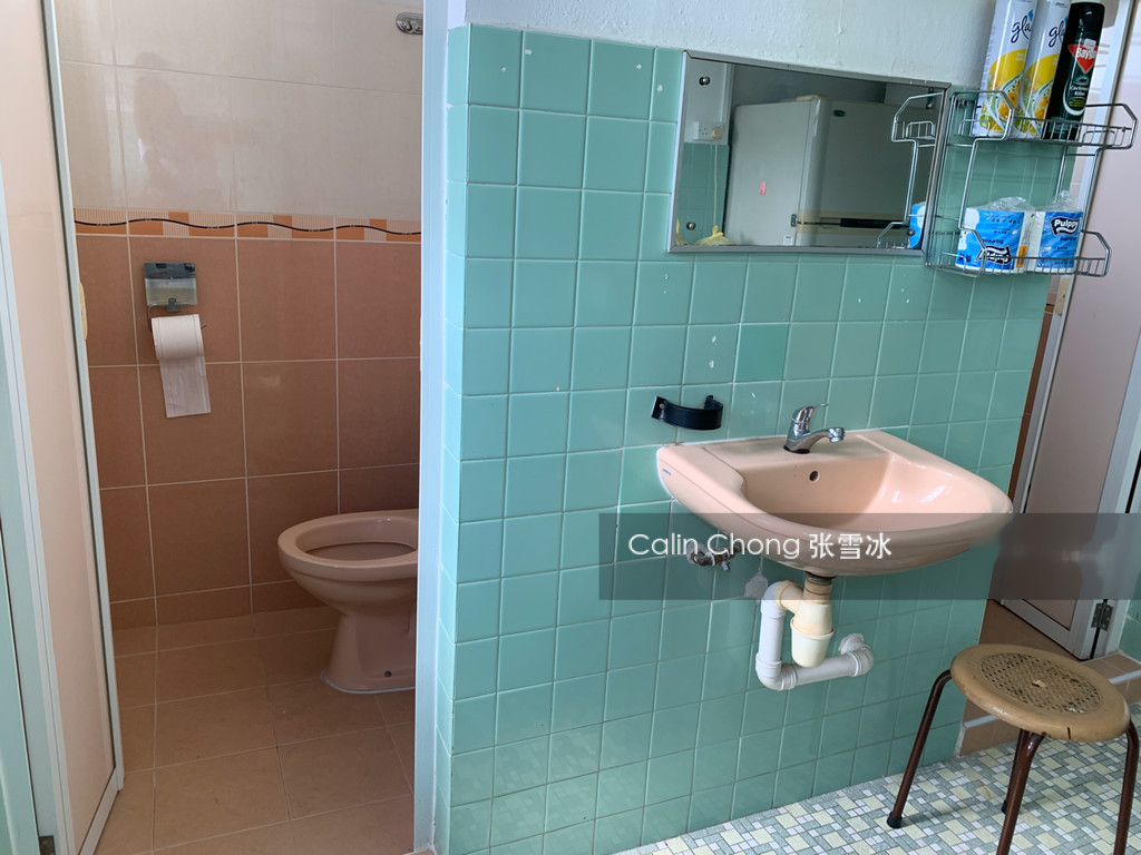 Blk 32 Holland Close (Queenstown), HDB 3 Rooms #214812631